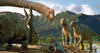 Dinosaur_team_16-9