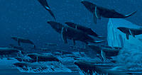 Fantasia2000_whales_16-9