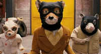 FantasticMrFox_hood_16-9