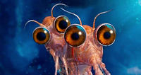 HappyFeet2_krill_16-9