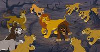 LionKIng2_posse_16-9