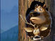 «Open Season»