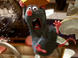 ratatouille_news