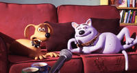 "Creature Comforts"