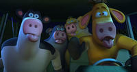 barnyard_kugjengen_16-9