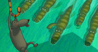froskene_spenning_16-9