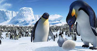 Happy Feet