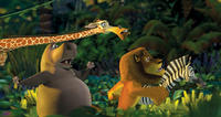 "Madagaskar"