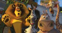 Madagaskar2_avreise