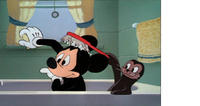 "Mickey and the Seal"