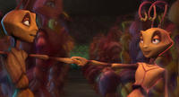 «Antz»