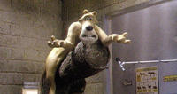 nickpark_jaguar_16-9