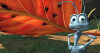 A Bug's Life