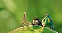 A Bug's Life