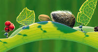 A Bug's Life
