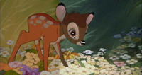 «Bambi»