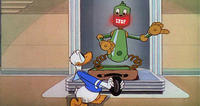 «Chronological Donald»