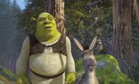 «Shrek»