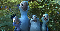 Rio2_trio_16-9
