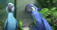 Rio_blu&Jewel_16-9