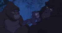 Tarzan_gorillaz_16-9